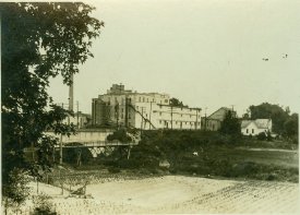 Hussa Canning and Pickle Factory, 1920