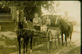 Closeup of Hedwig Fuchs driving horse and buggy, undated