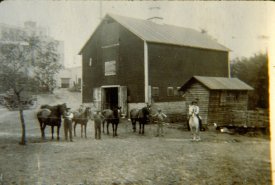 Horse barn  for the Hussa Brewery