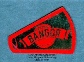 insignia                                