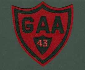 insignia                                