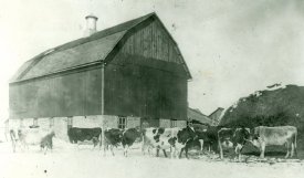 photograph